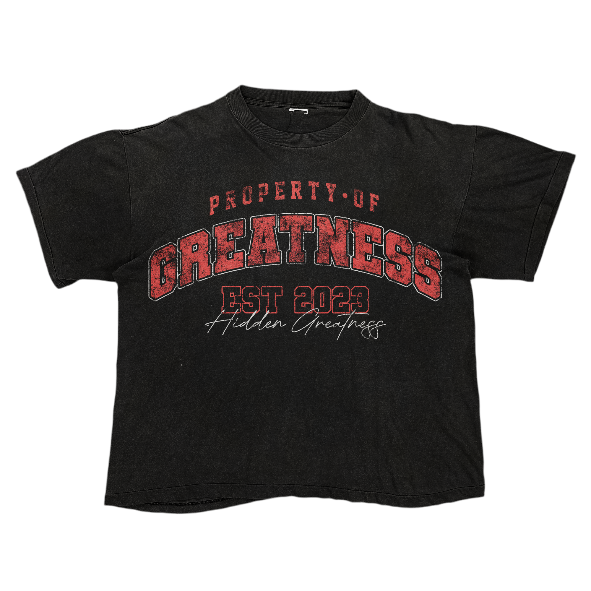 PROPERTY OF GREATNESS TEE