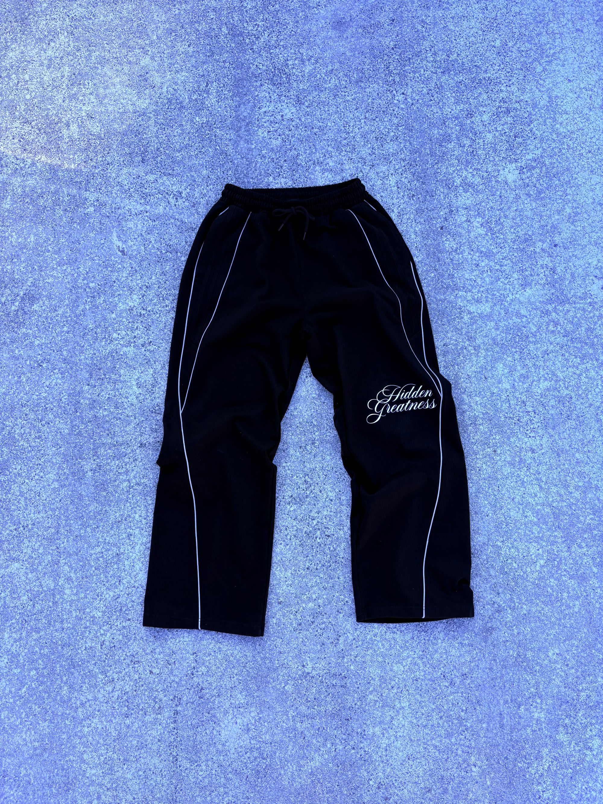 REFLECTION STRIPED PANTS