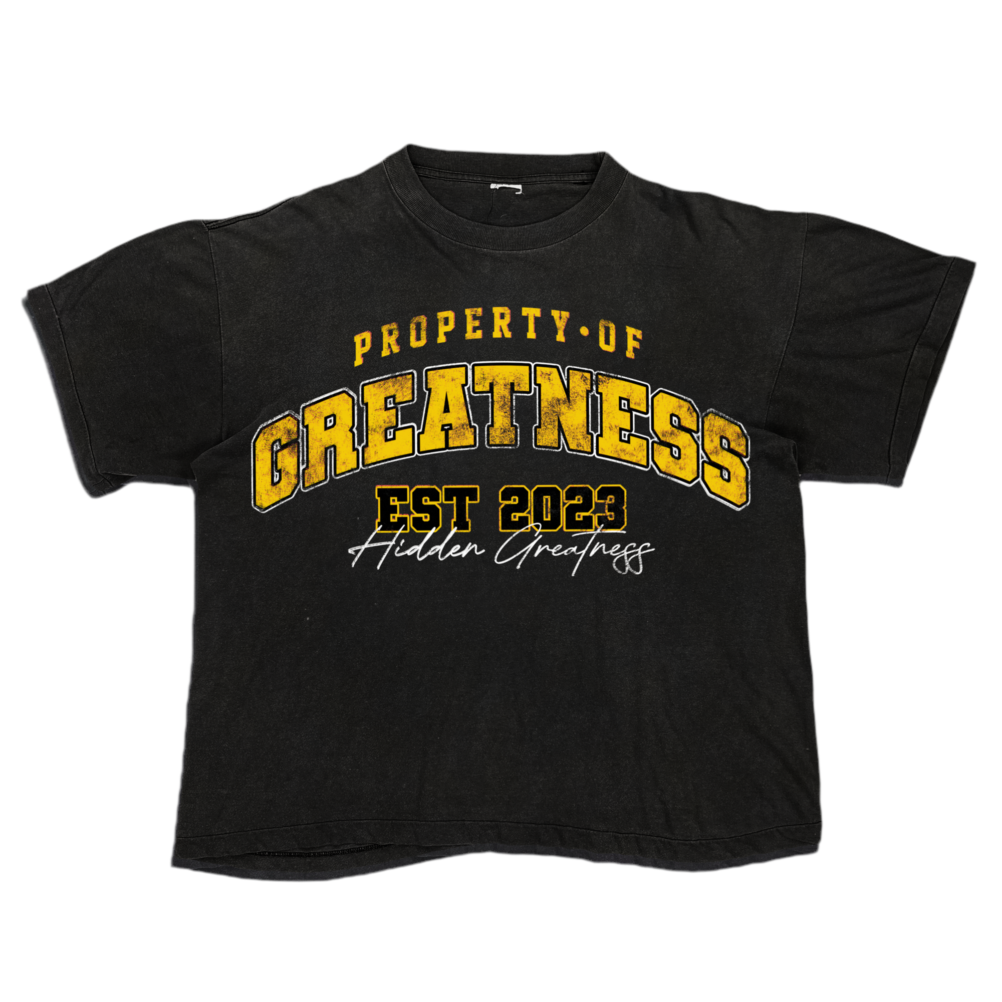 PROPERTY OF GREATNESS TEE(YELLOW)