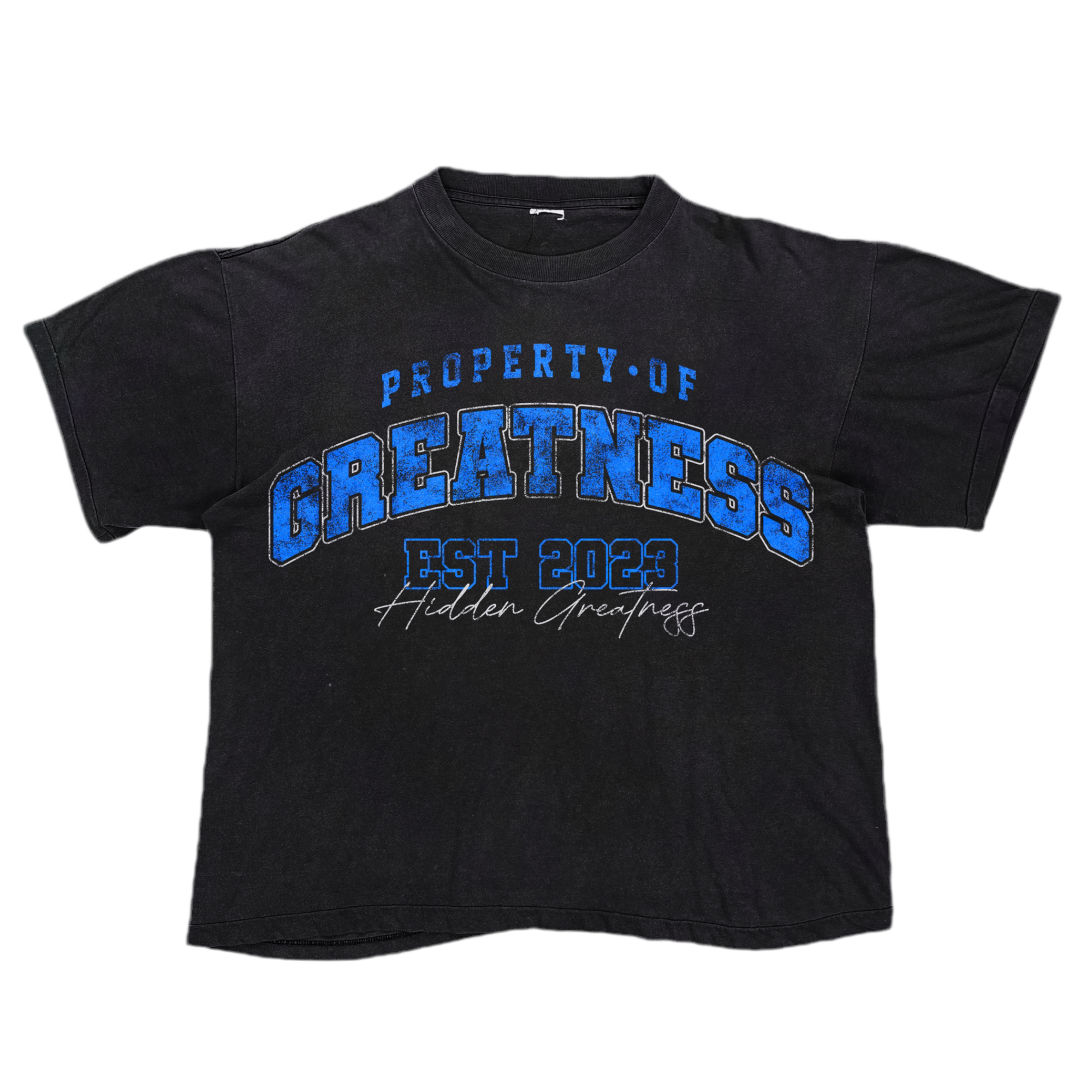 PROPERTY OF GREATNESS TEE(BLUE)