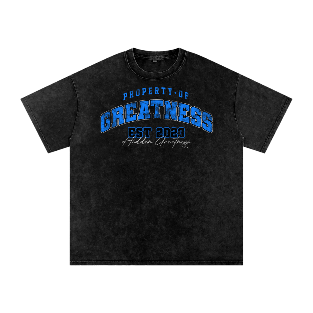 KIDS PROPERTY OF GREATNESS TEE(BLUE)